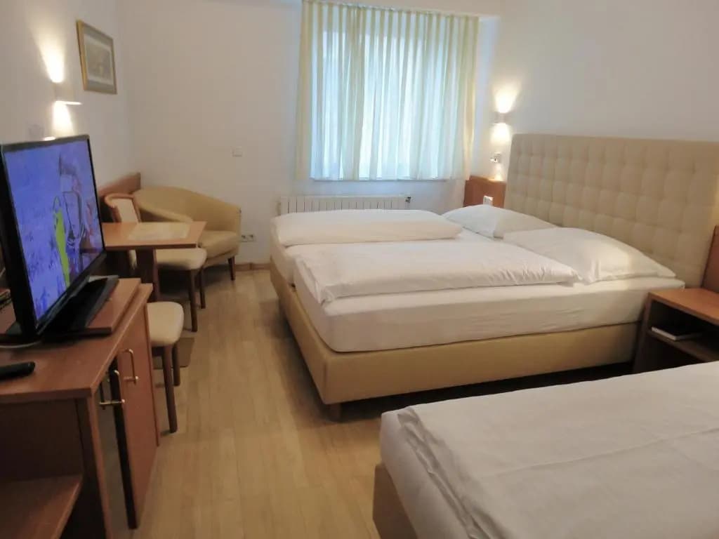 City Hotel Albrecht Schwechat - photo 2