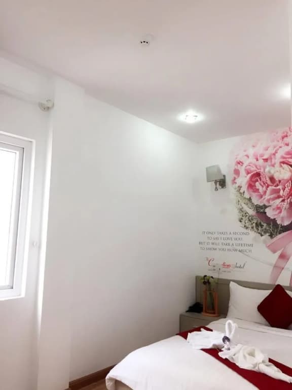 The Carnation Hotel Da Nang - photo 46