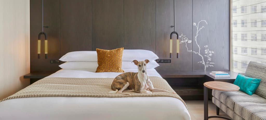Kimpton Shinjuku Tokyo by IHG - photo 27