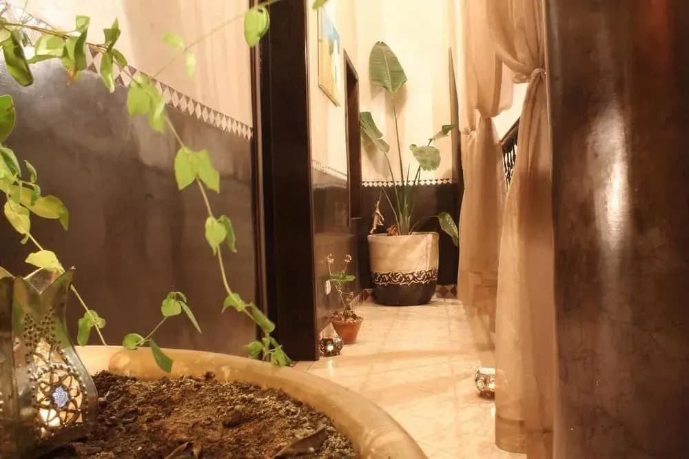 Riad Samara - photo 11