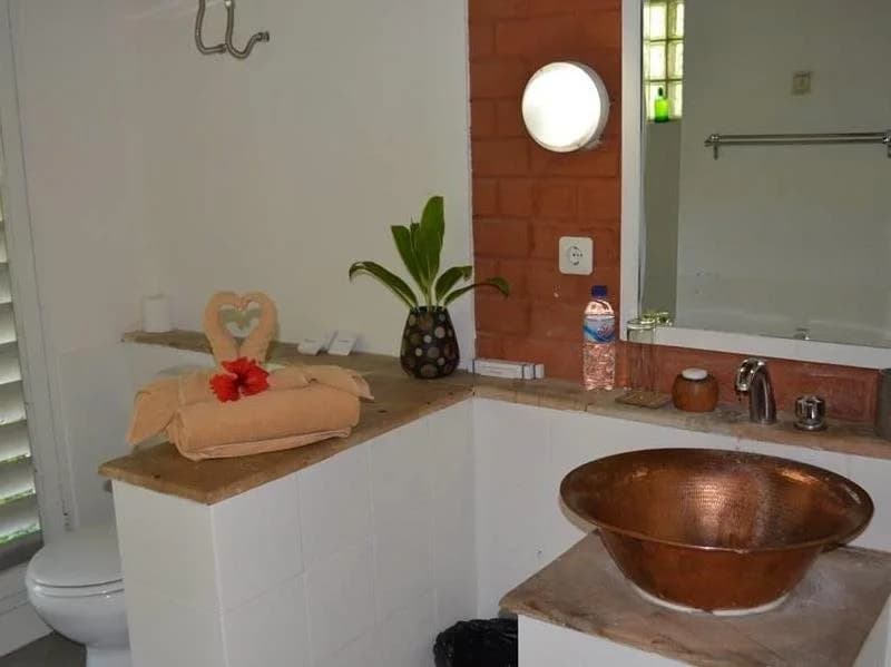 Ubud Garden Villa - photo 8