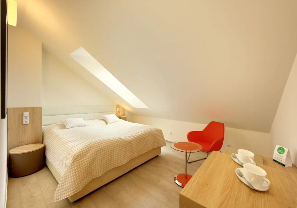 Salvator Boutique Hotel - photo 3