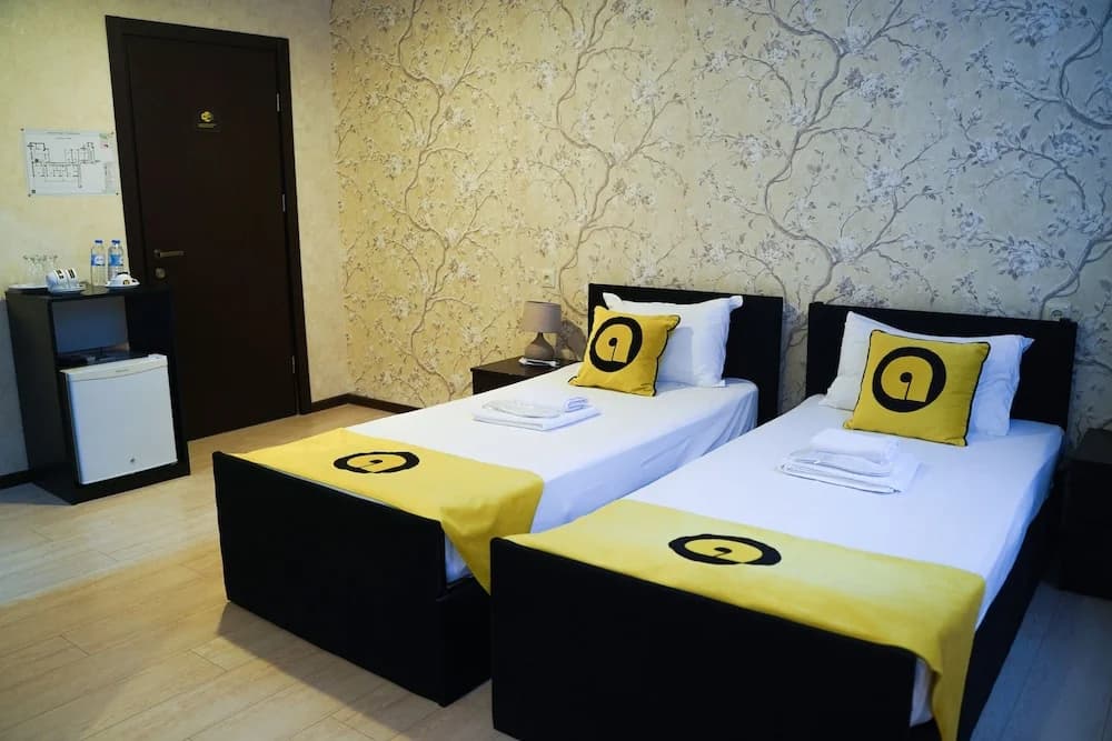 Aura Plaza Hotel - photo 6