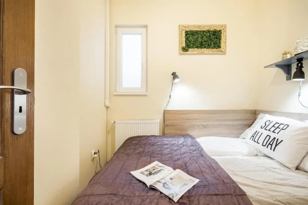 A9 Houseleek Astoria - photo 4