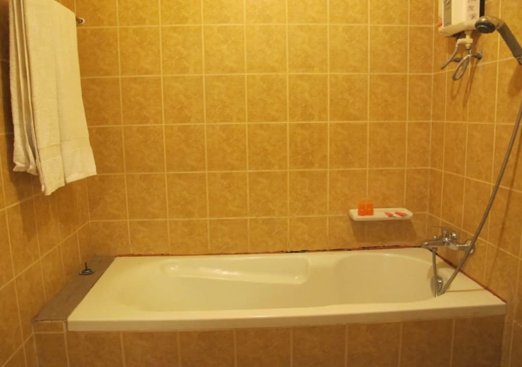 Bautong Lodge Guest House - photo 10