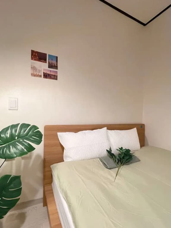 House Lotus - photo 5