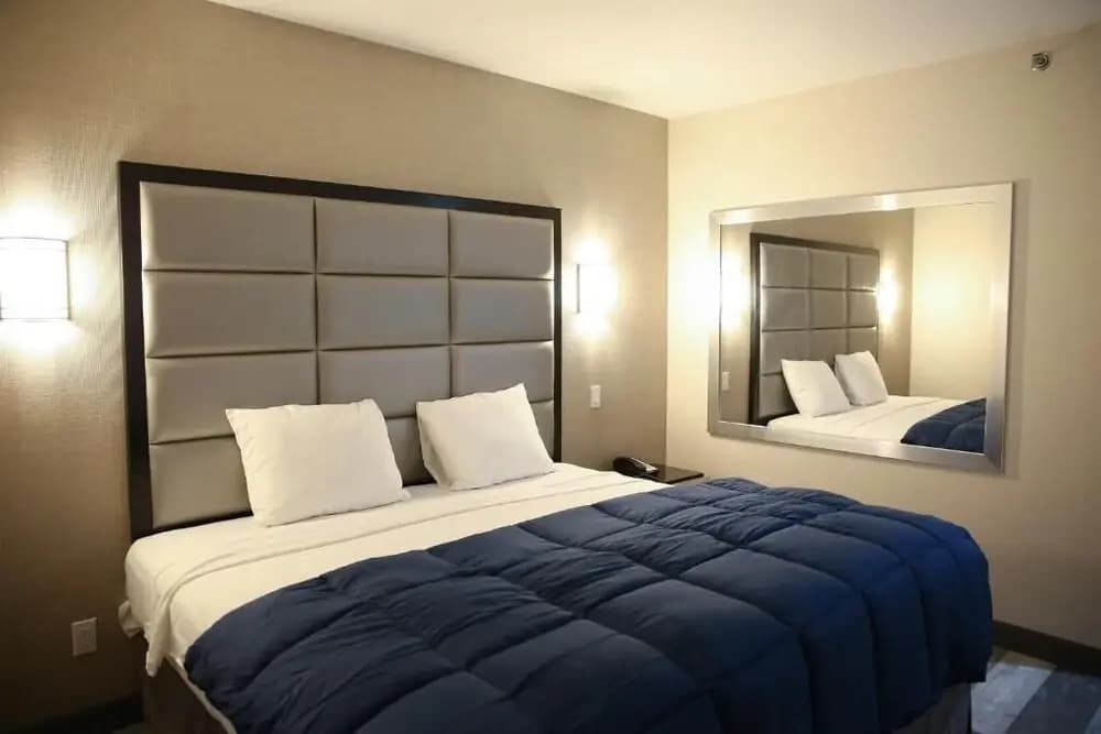 Vybe Hotel - photo 3