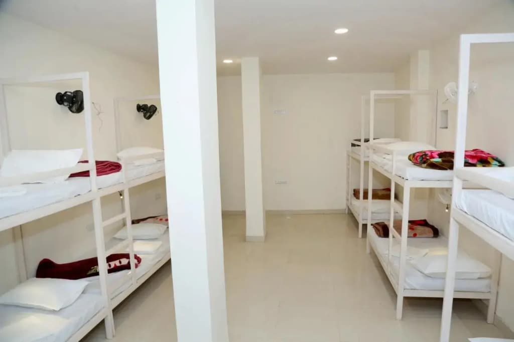 The Charlie's hostel - photo 5