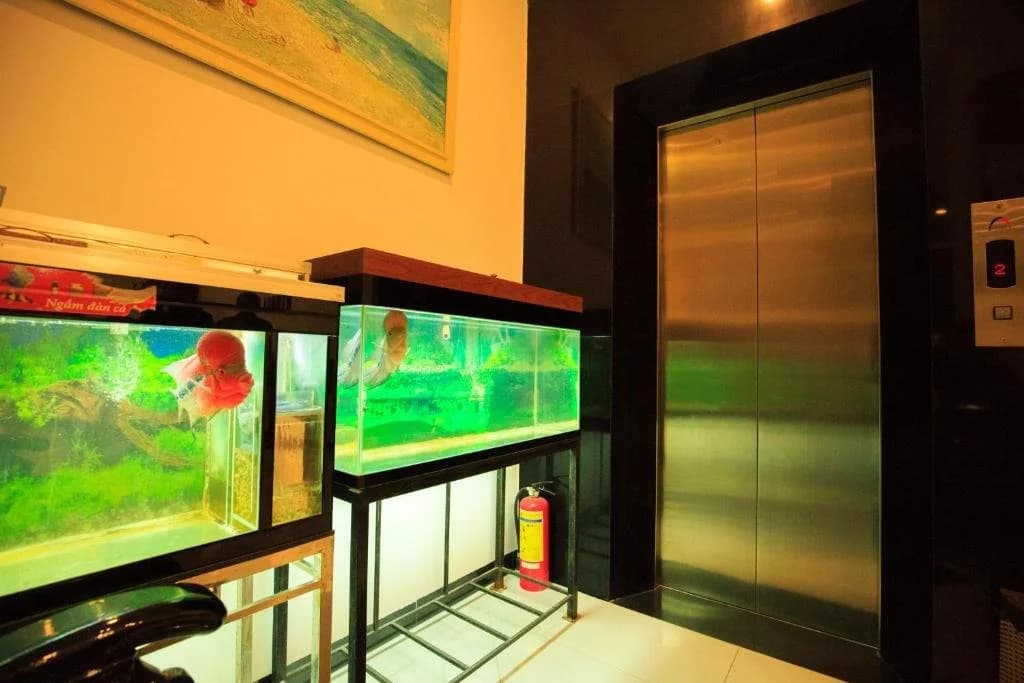 Mimosa Hotel - photo 10