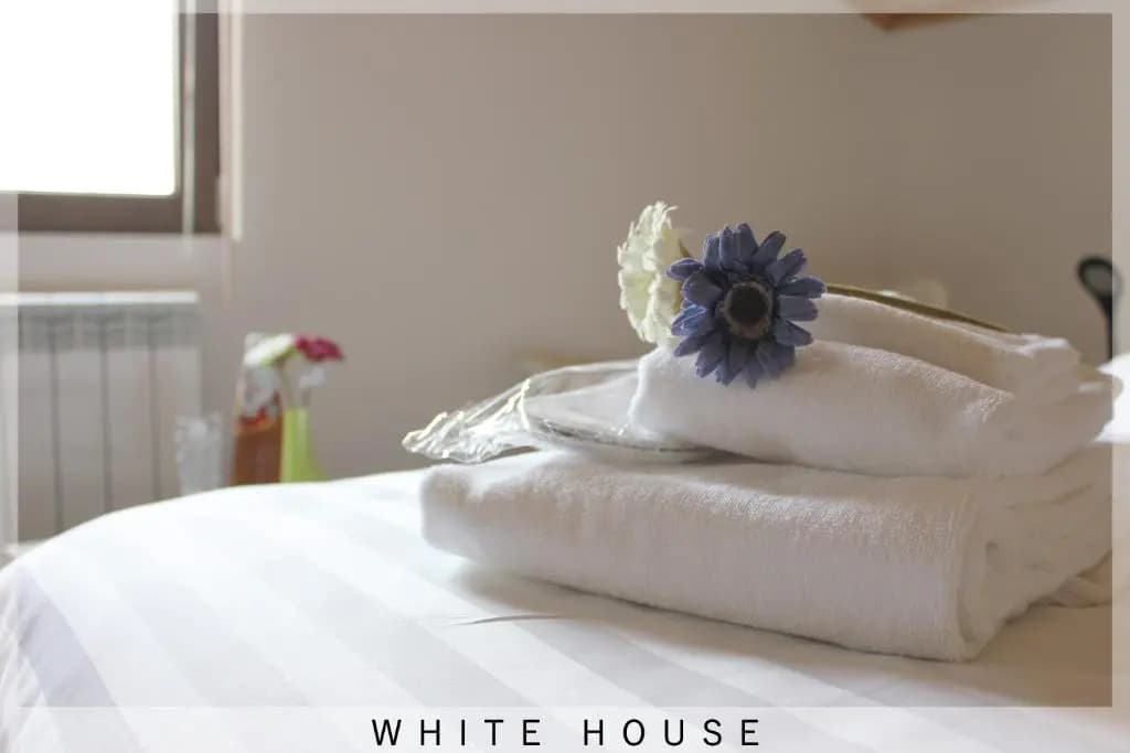 White House - photo 4