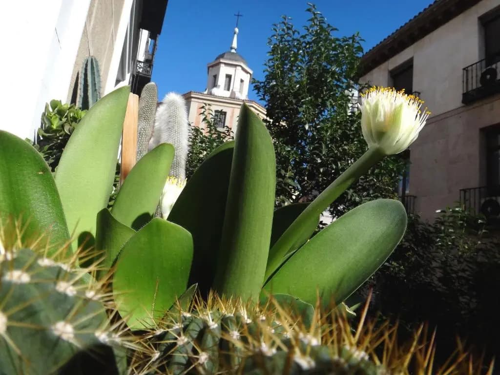 Hostal Horizonte - photo 13