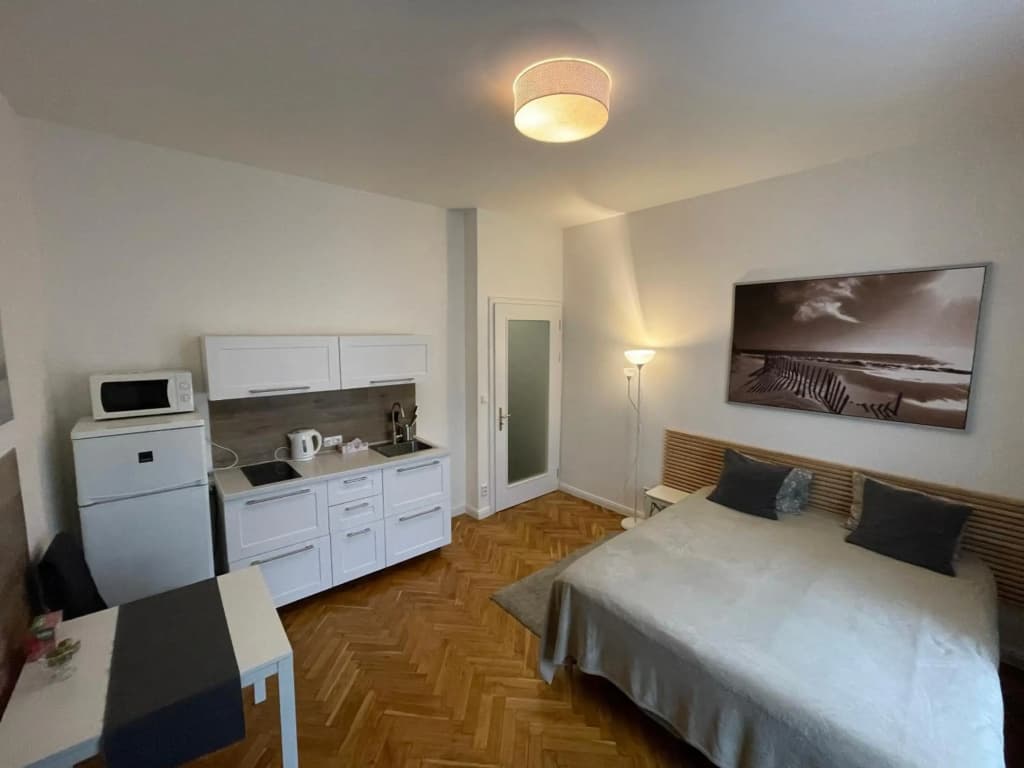 Apartmen -Studio - photo 10