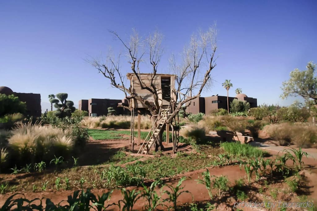 Fellah Hotel - photo 22