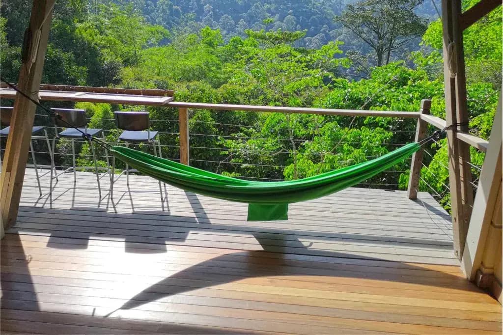Langit Rimba Resort - photo 6