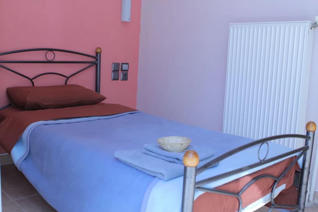Dionysos Hotel Athens - photo 7