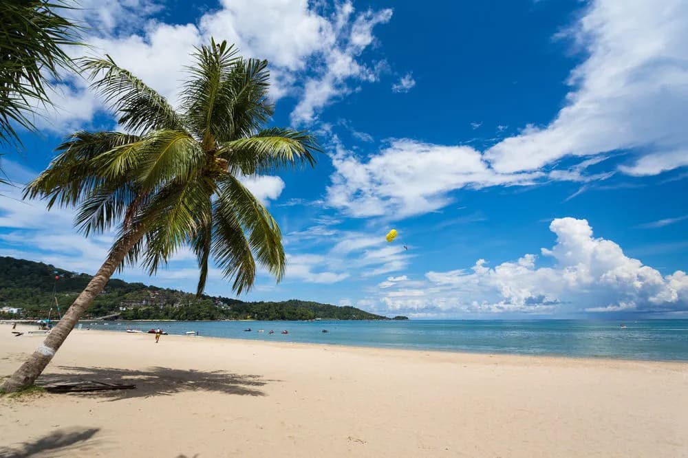 Patong Beach Bed and Breakfast - photo 16