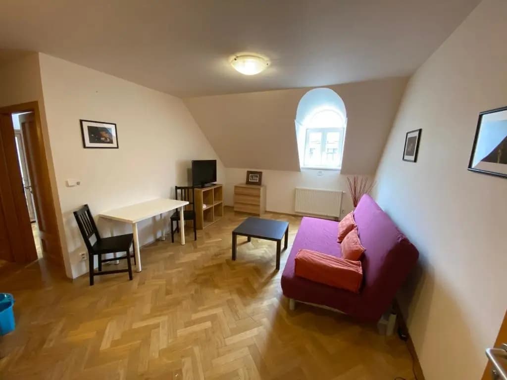 Beautiful Apartment Near Florenc Area of Prague - photo 9