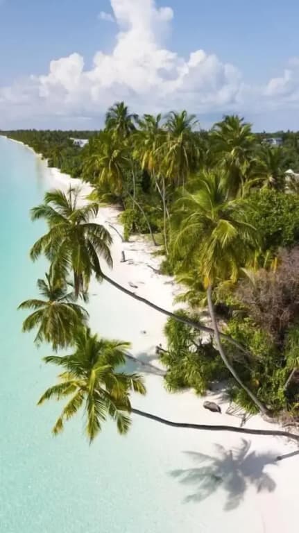 Moro SW Laamu - photo 12