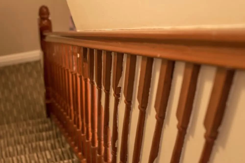 Montgomery Apartments - Crighton - photo 27