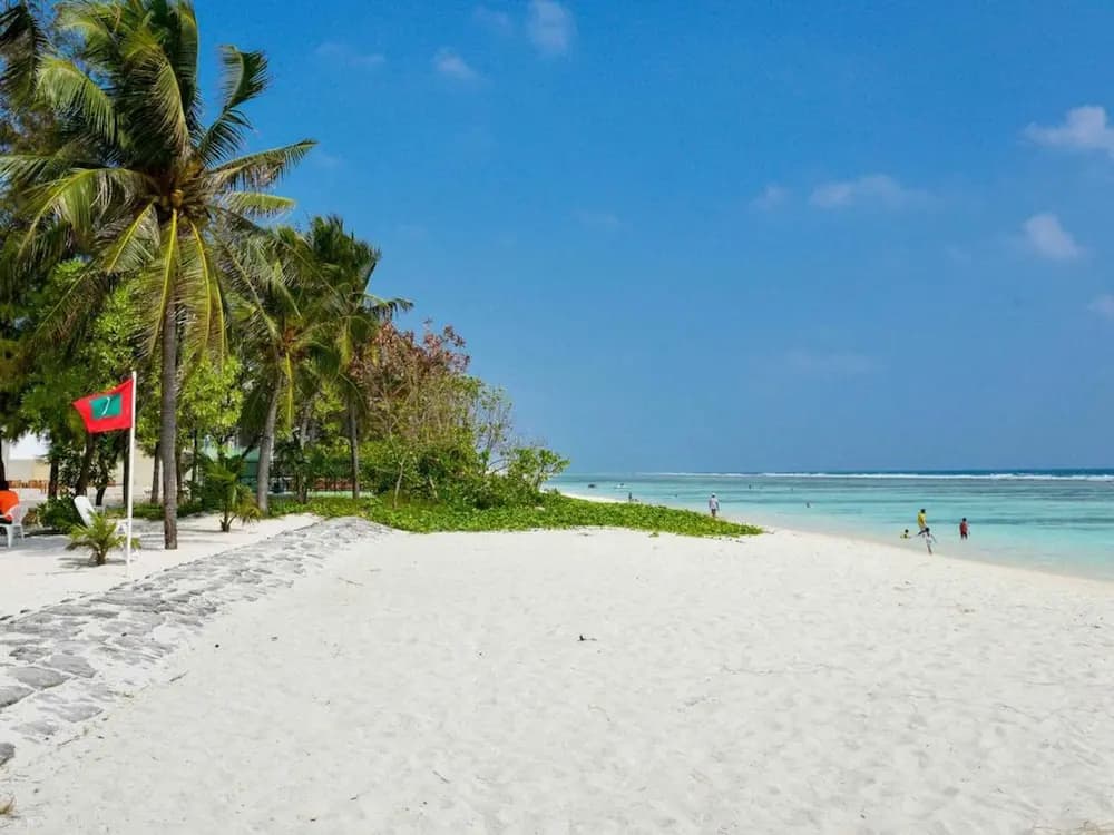 Coconut Tree Hulhuvilla Beach - photo 23