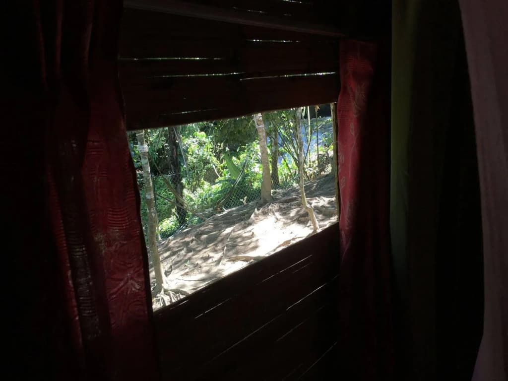 Rain Forest Inn - photo 15
