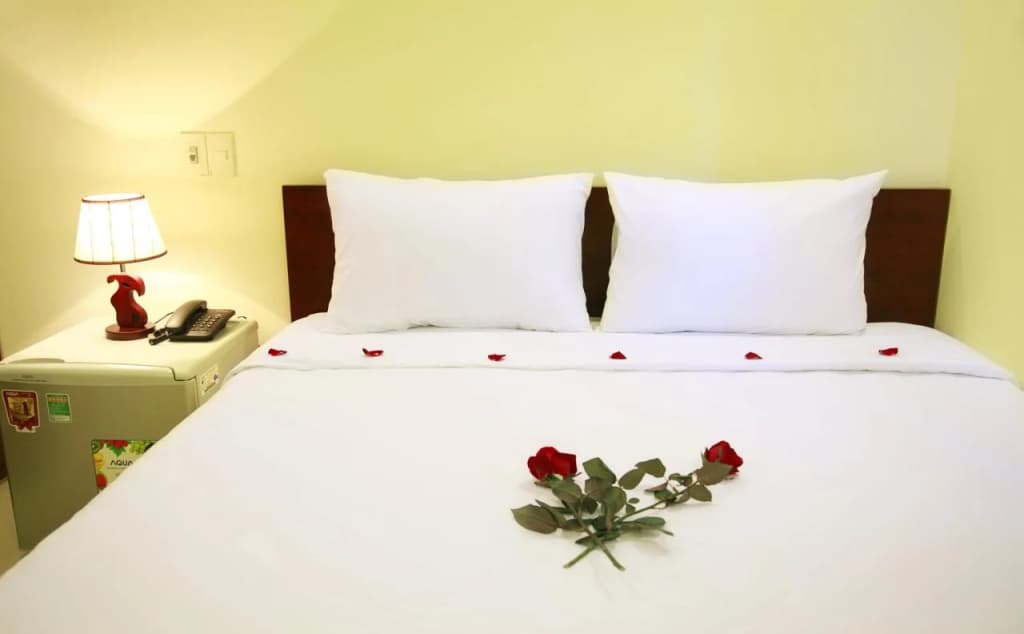 Danang Classic Hotel - photo 6