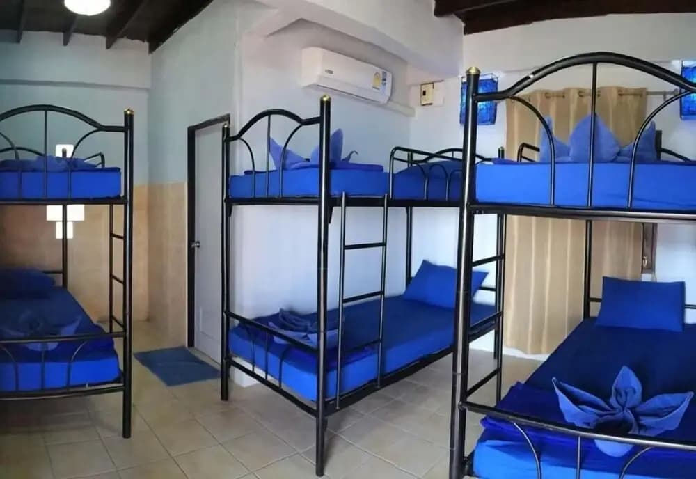 Asia Blue - Beach Hostel Hacienda - Bed in 6-bed Mixed Dormitory Room - photo 1