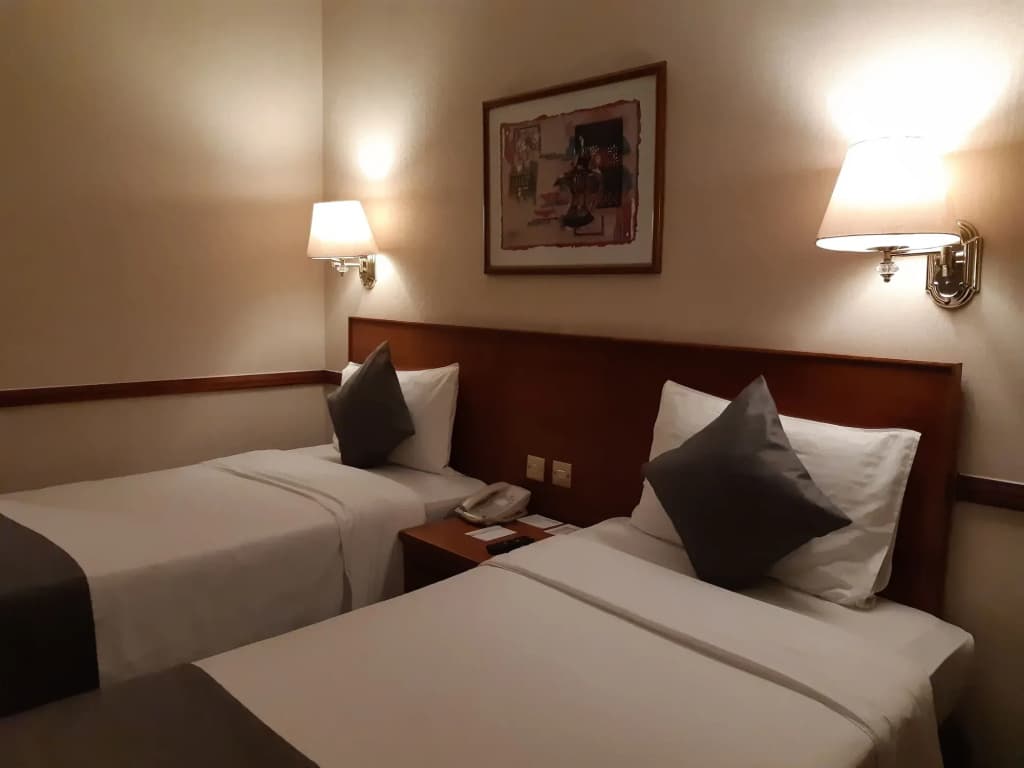 Lotus Grand Hotel Dubai - photo 9