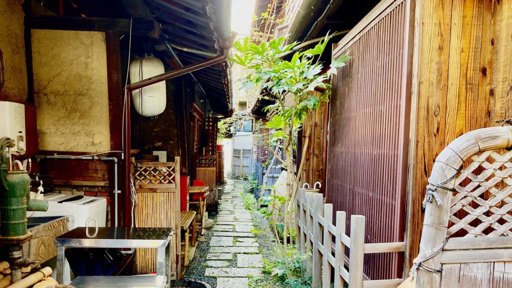 Kaikoan - photo 21