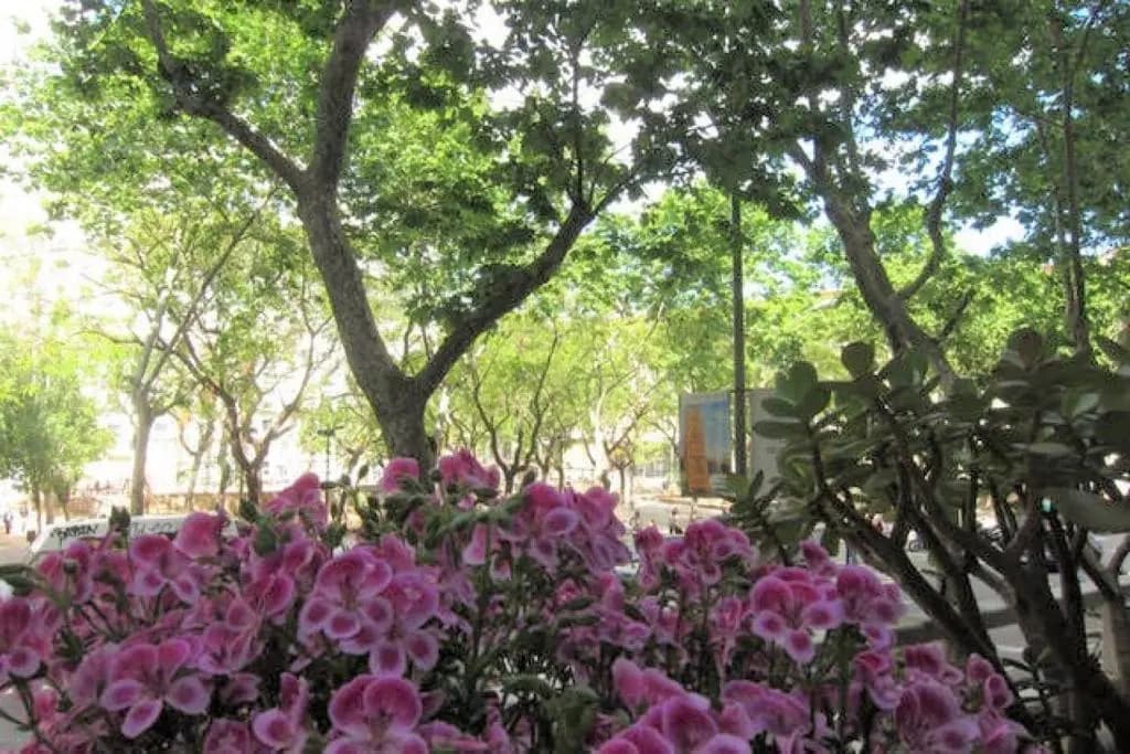 Sant Antoni Lovely Apartment - photo 2