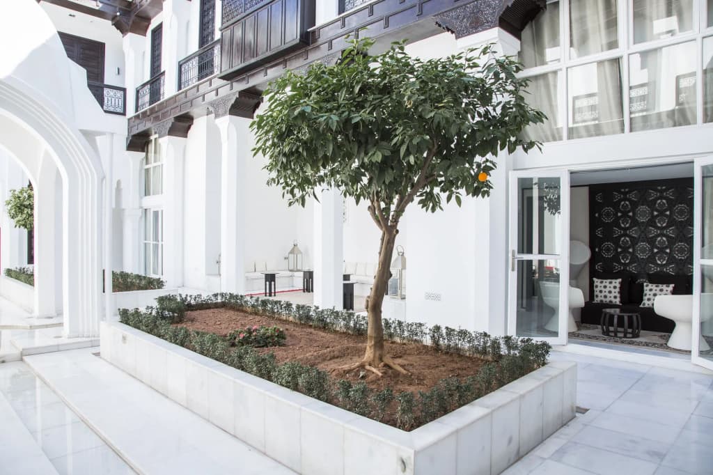 Riad Elisa & Spa - main photo