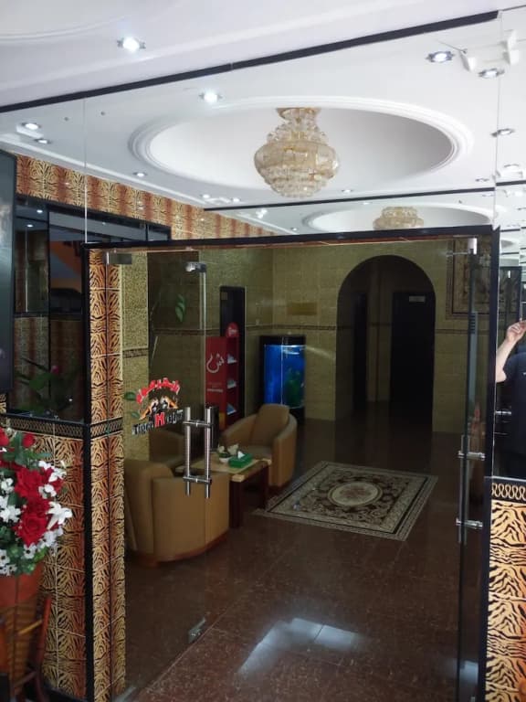 Tiger Home Hotel Apartments - photo 25