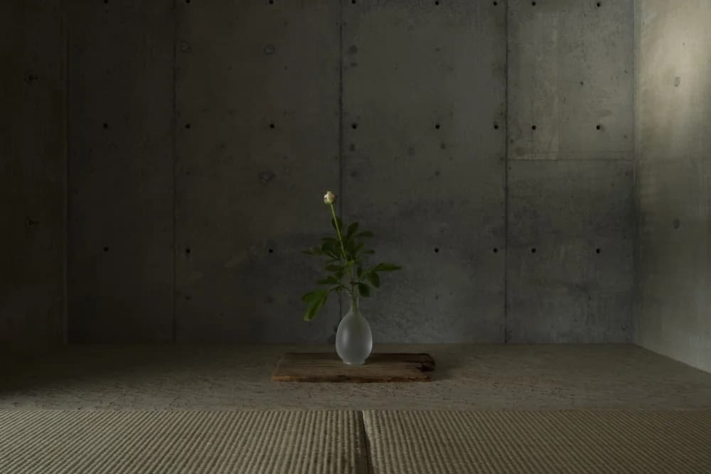 Kamohan - photo 36