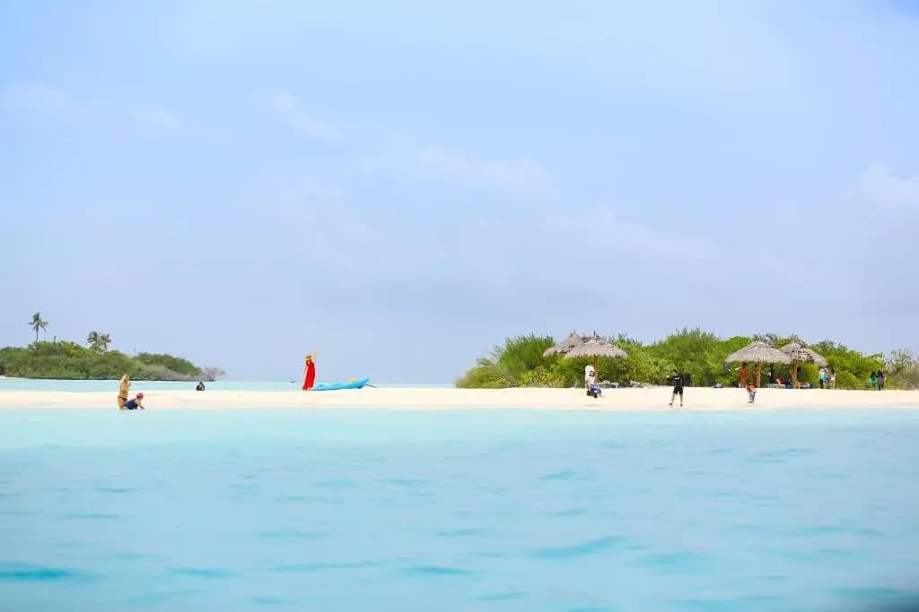 Quicksand Rasdhoo - photo 12