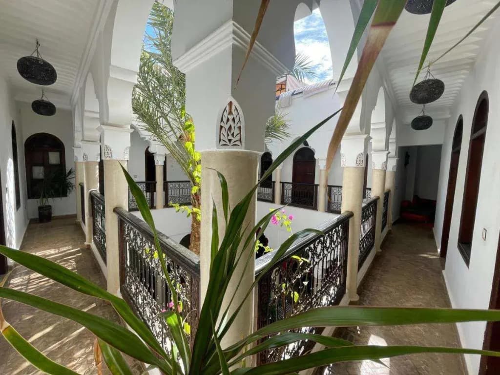 Riad Elias - photo 17