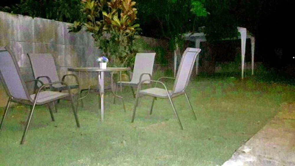Duck House - photo 8