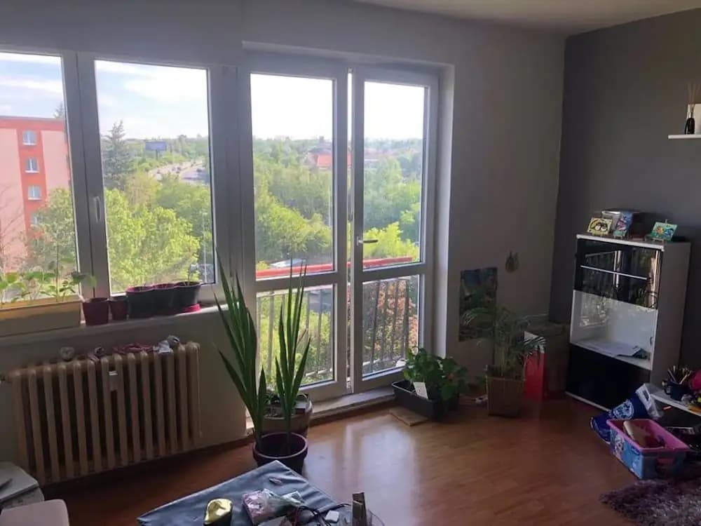 Shared Flat - photo 4