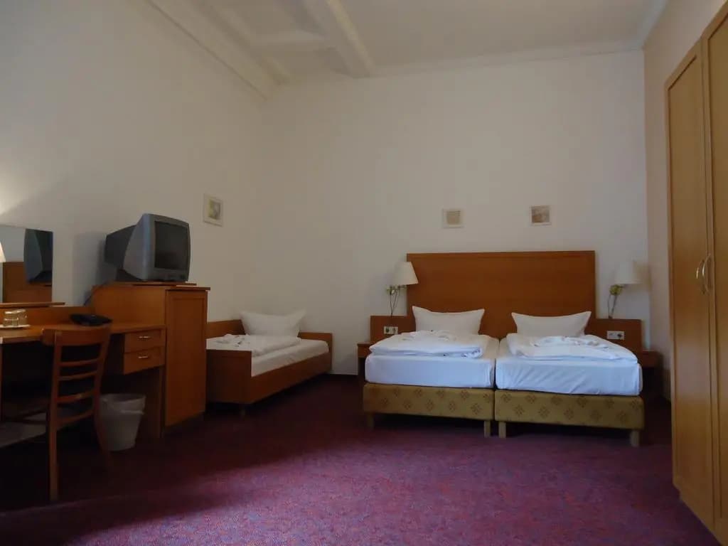 Hotel Aster - photo 26