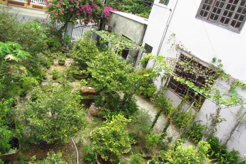 Charming Homestay - main photo