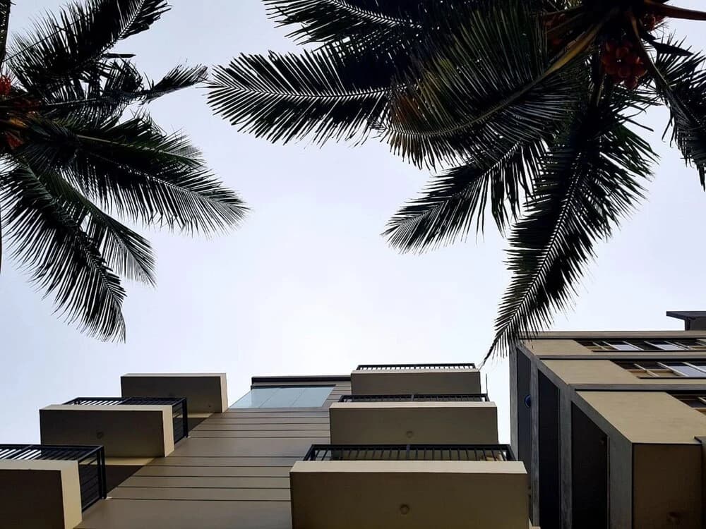 OYO 231 Residence Colombo 03 - photo 11