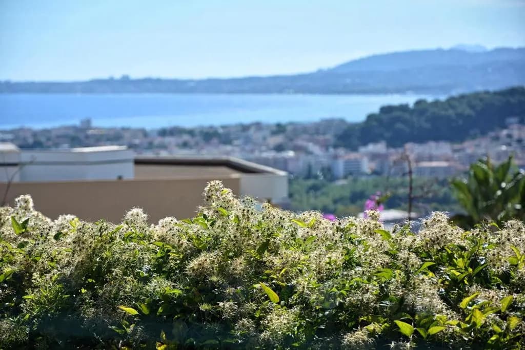 Le Plein Ciel - photo 9