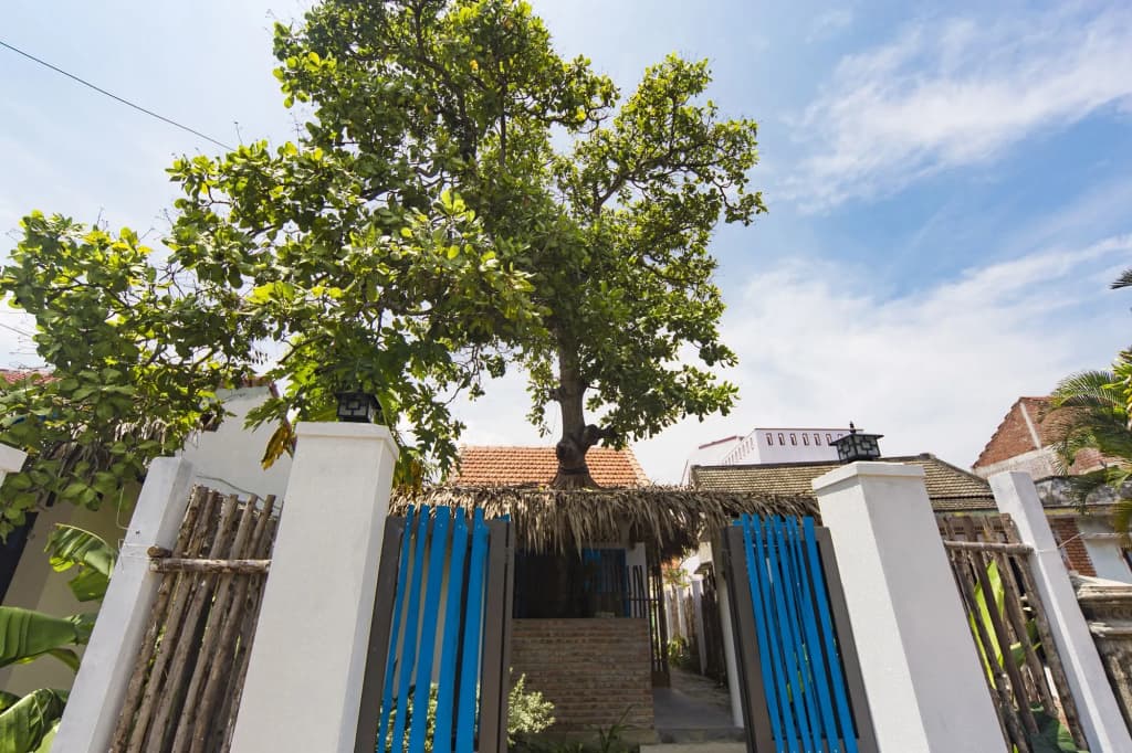 Cashew Tree Bungalow - main photo