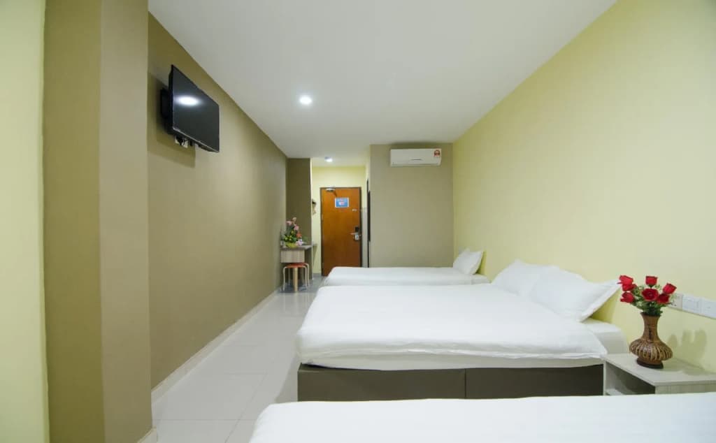 Hotel Raja Bot - photo 7
