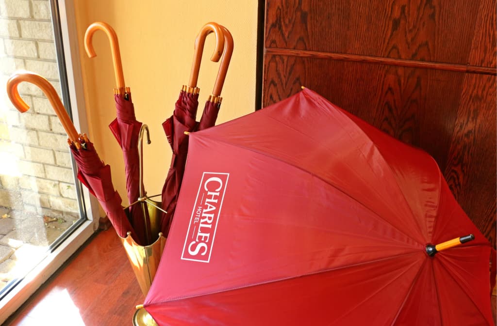 Hotel Charles - photo 26
