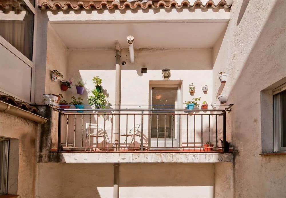 Olmo - photo 15
