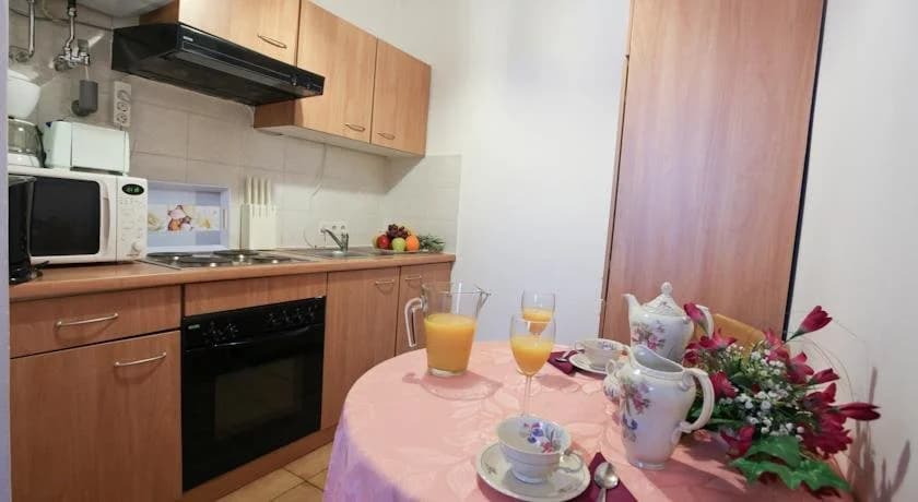 Mozart Apartments - photo 17