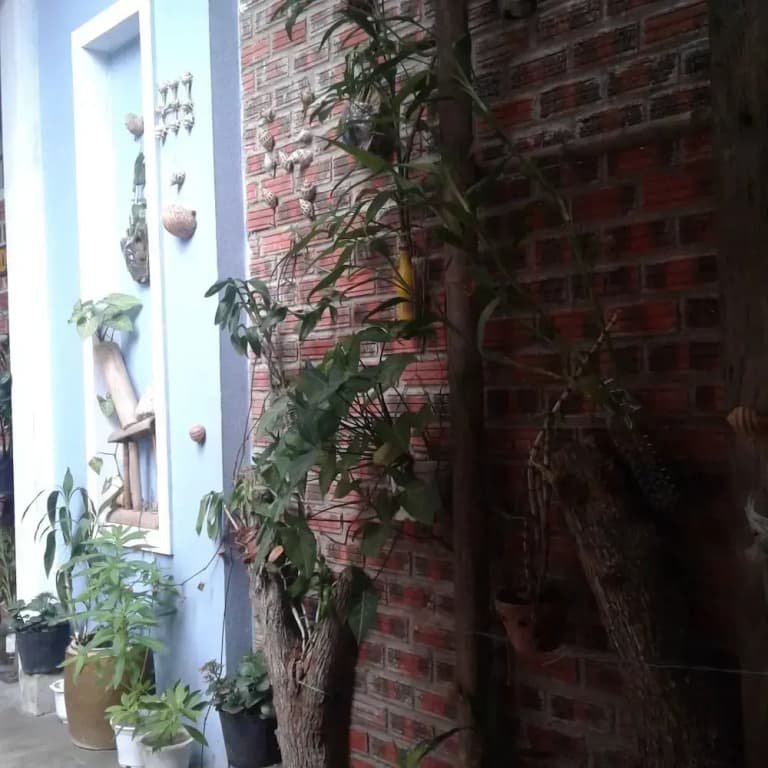 The Natural Bungalow - photo 16