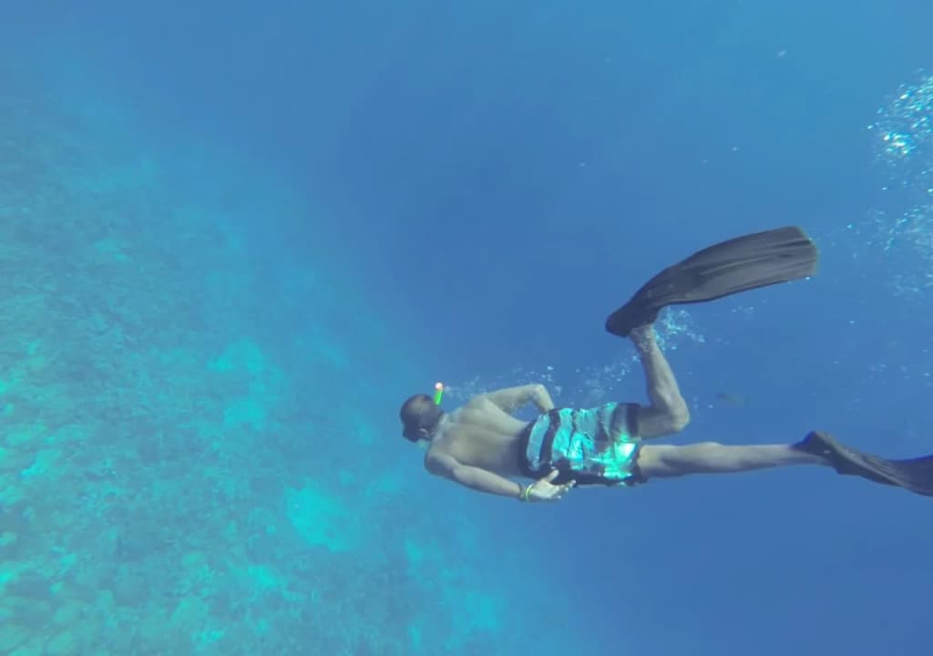 Viluxer Veyli & Diving - photo 8