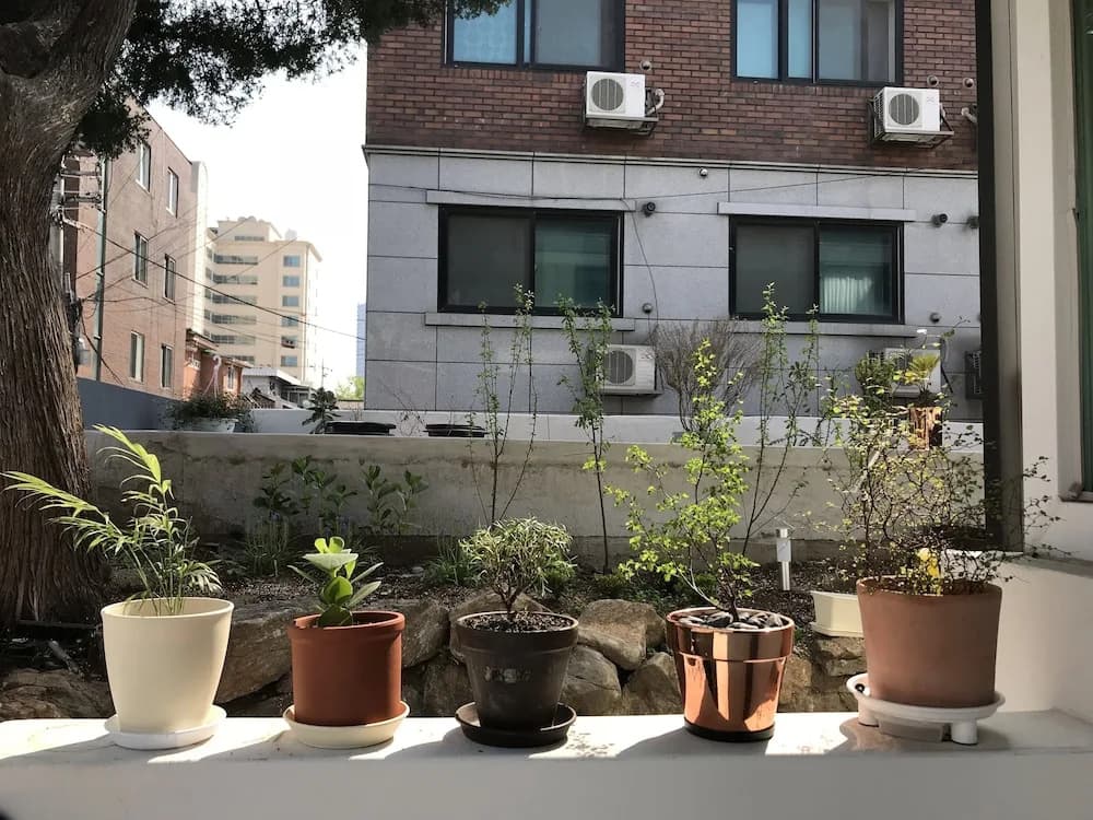 Comet Guesthouse - Hostel - photo 17