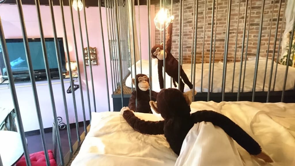 Yadoya Lodge - photo 10
